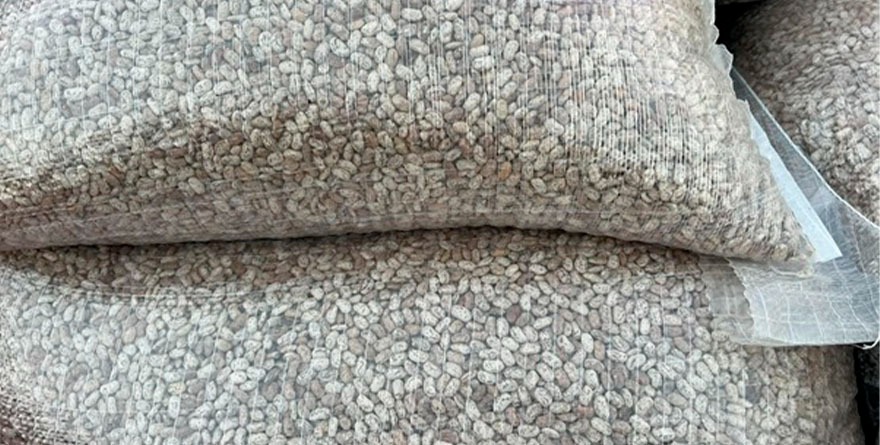 Del campo a la crisis