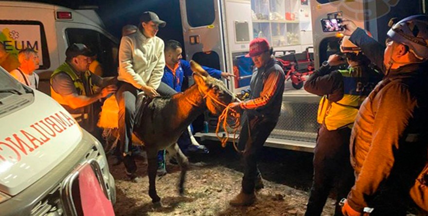 ‘Chalino’, el burrito que humilló a las 4×4