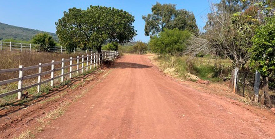 Camino Renovado