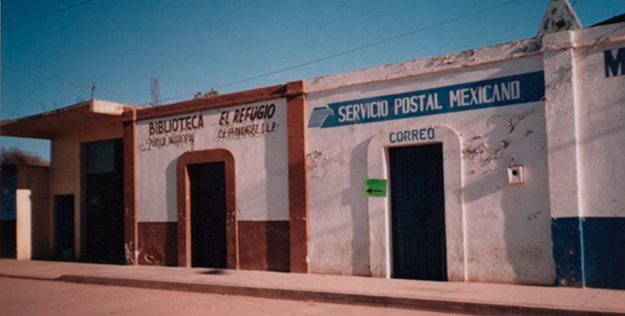 Un siglo enraizado