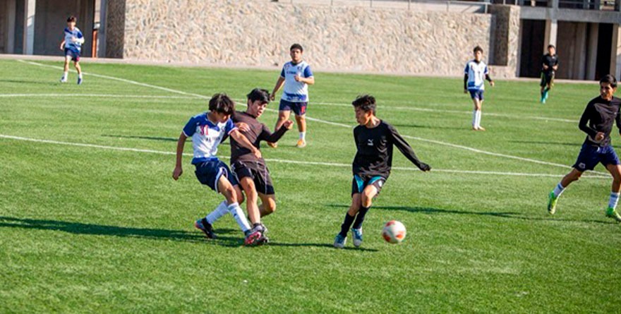 Arma tu equipo