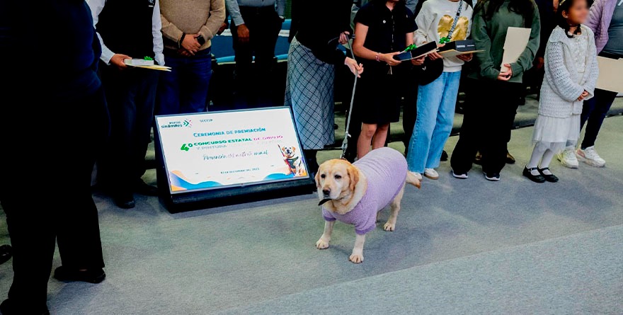 Arte que protege a los animales