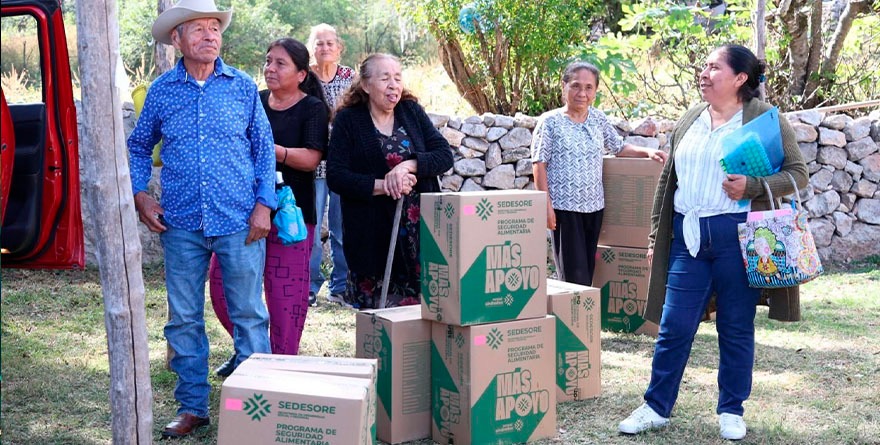 Refuerzo para la despensa