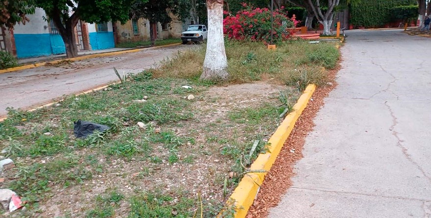 Por un caminar más tranquilo