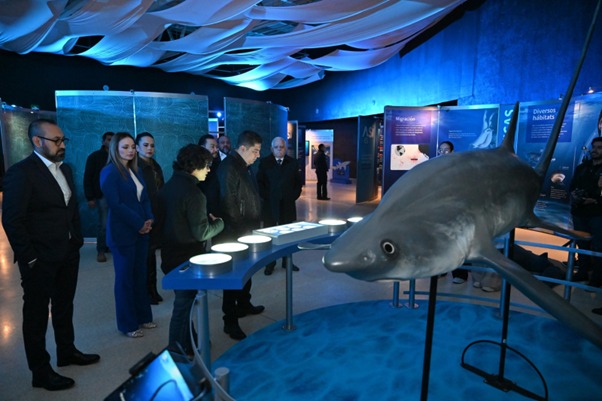 Abre Expo Tiburones