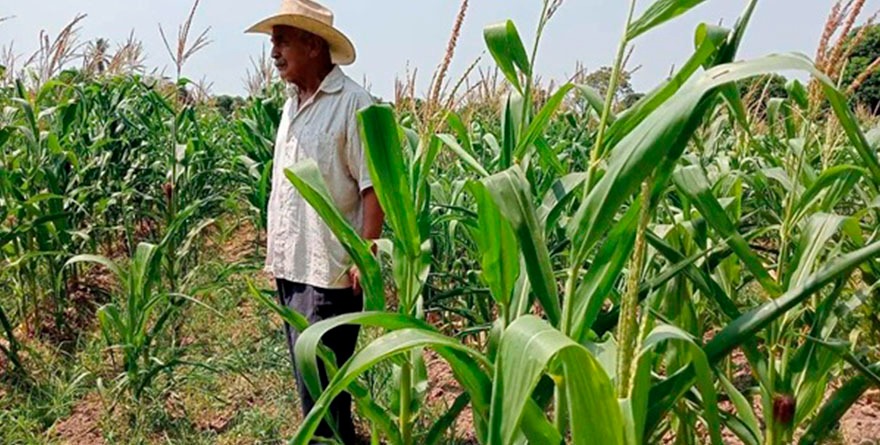 UNIDOS por el campo potosino