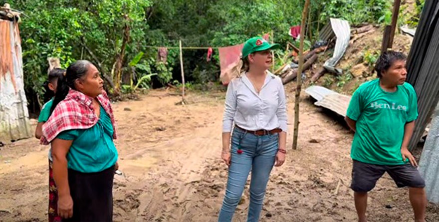 Brota la esperanza donde el lodo arrasó