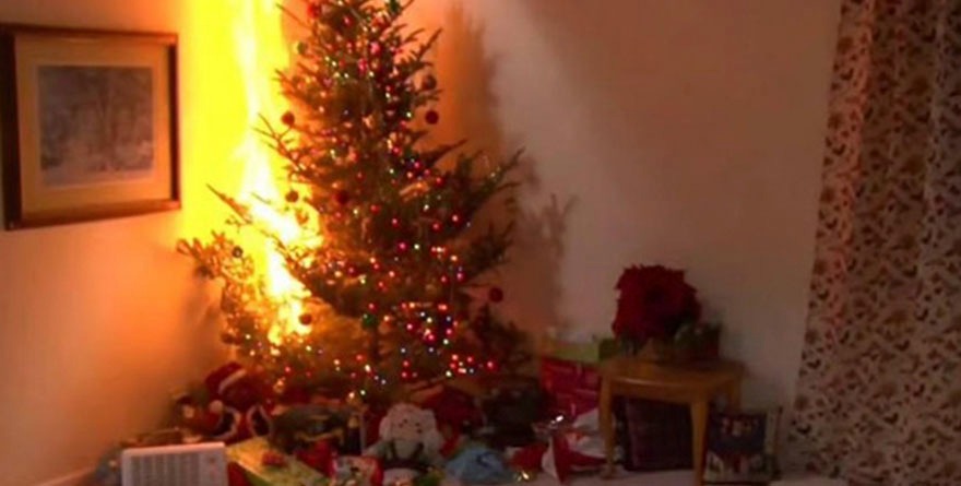 Fuego al acecho por luces y anafres