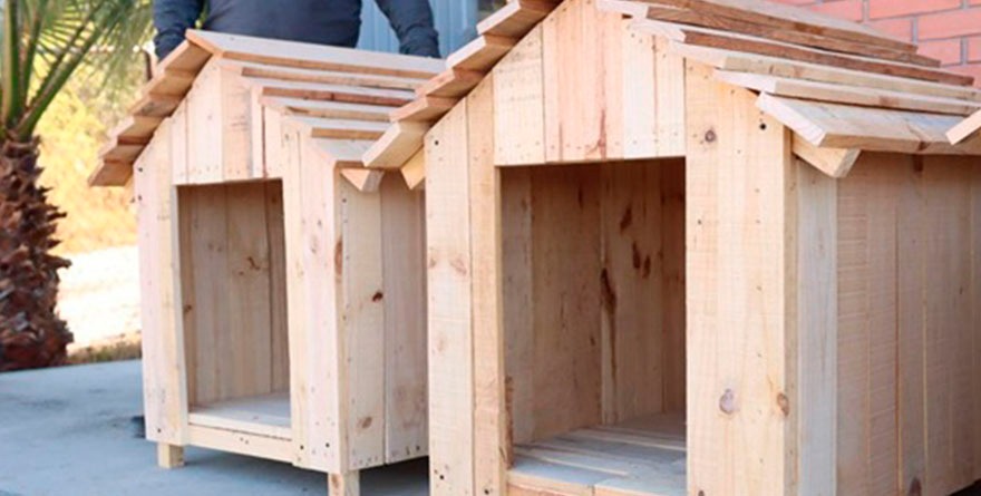 Casitas que abrigan y enseñan