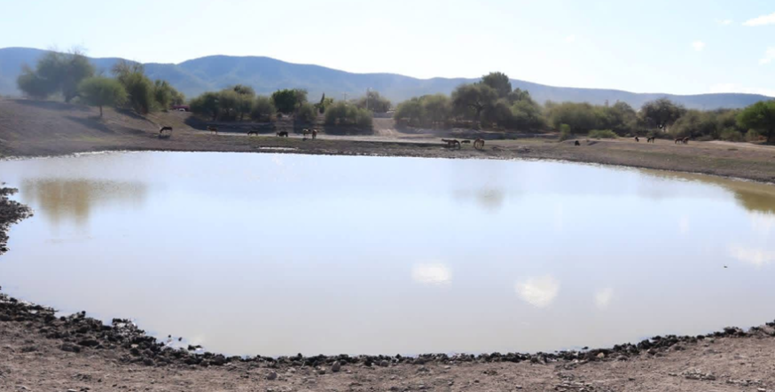 Agua que sí alcanza en Cerritos