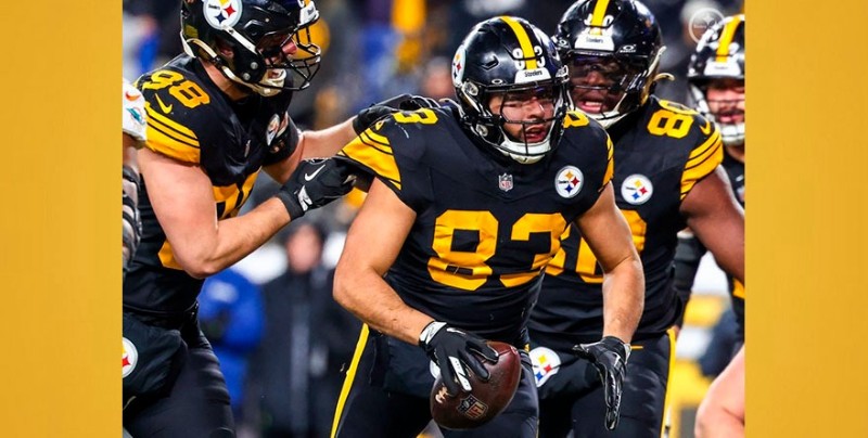 STEELERS SE APROVECHA DE DOLPHINS Y CONSOLIDA LIDERATO
