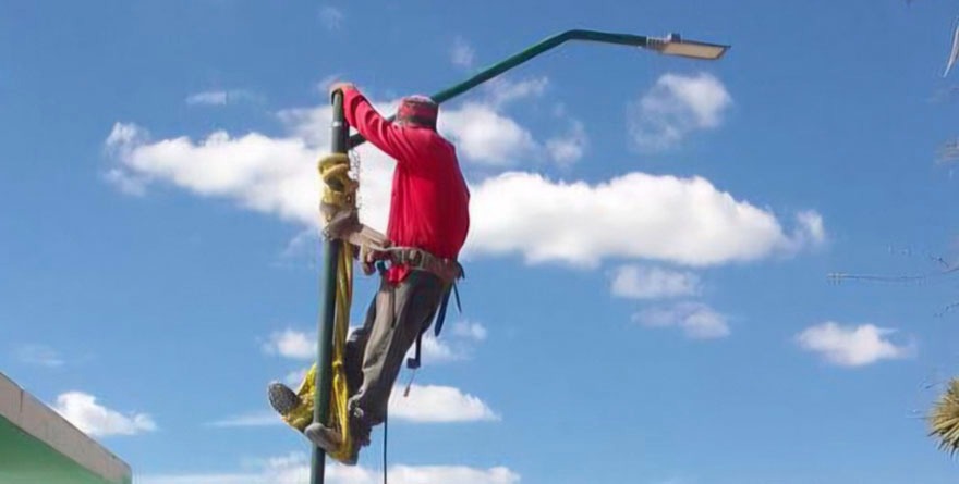 Cedral ilumina el camino a la iglesia