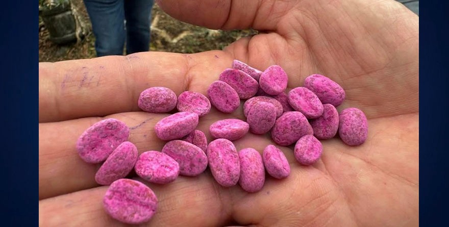 Abrirán al turismo 7 fincas de café