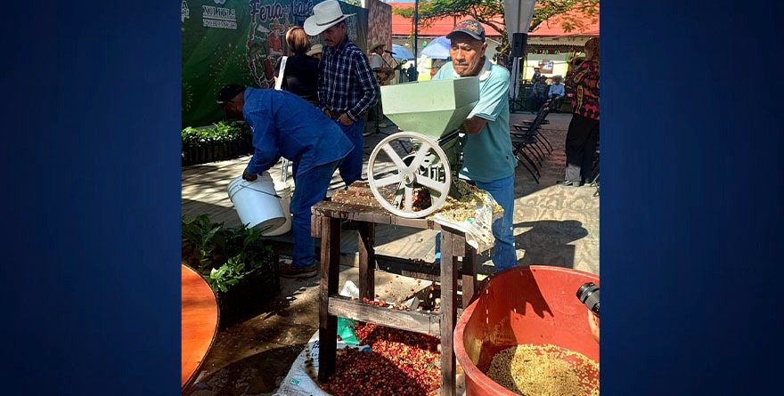 CELEBRAN IDENTIDAD CAFETALERA