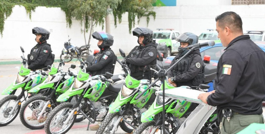 Panteras refuerzan la seguridad