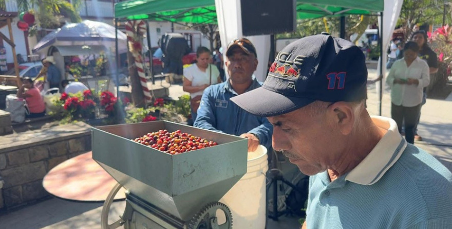 De la semilla a la taza