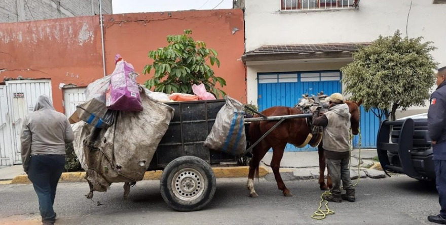 Multas de hasta $13 mil por usar animales en carretas