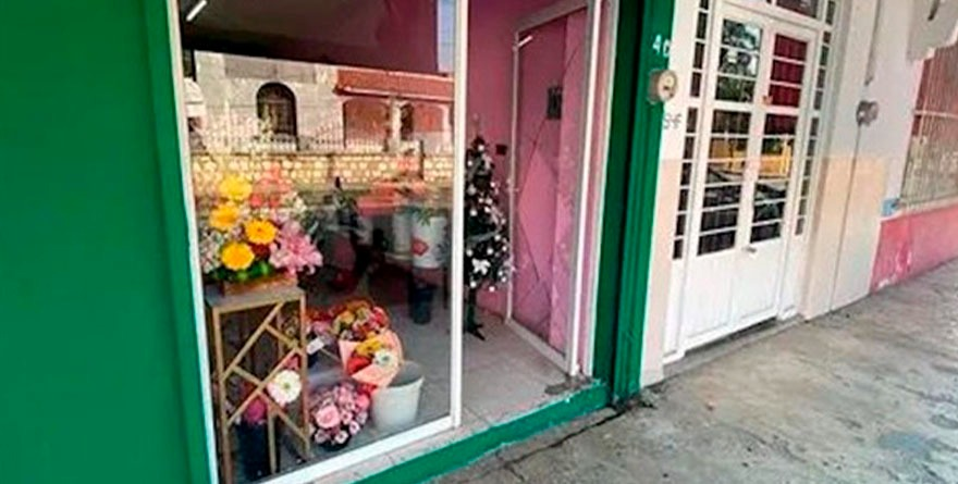 Flores, dinero y hampones