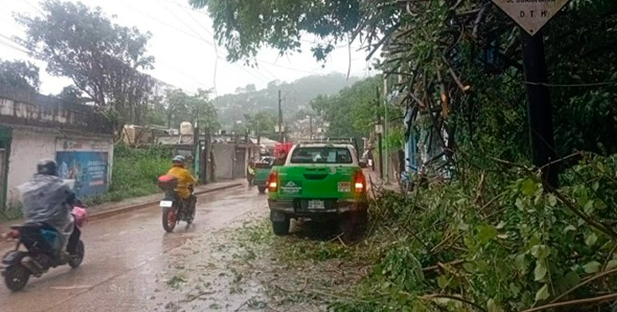 LLUVIAS Y VIENTOS DERRIBAN ÁRBOLES