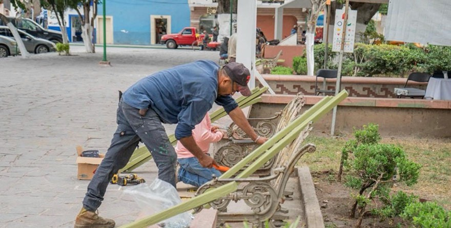 Le dan manita de gato a la plaza de Rayón
