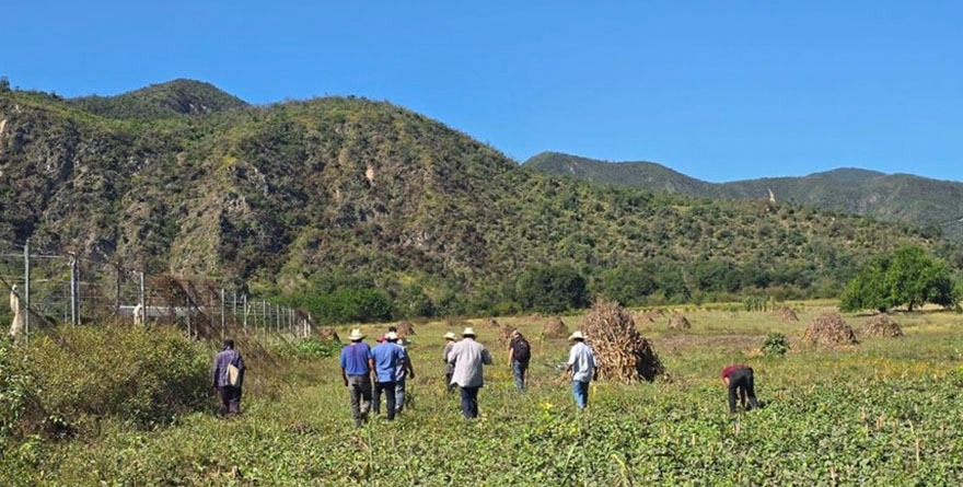 Paso firme al desarrollo