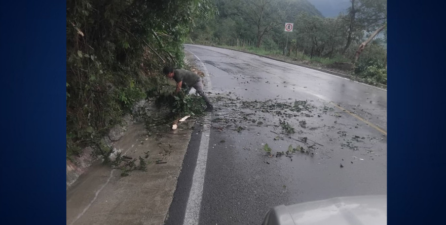 MONITOREAN EFECTOS DE FRÍO Y LLUVIA