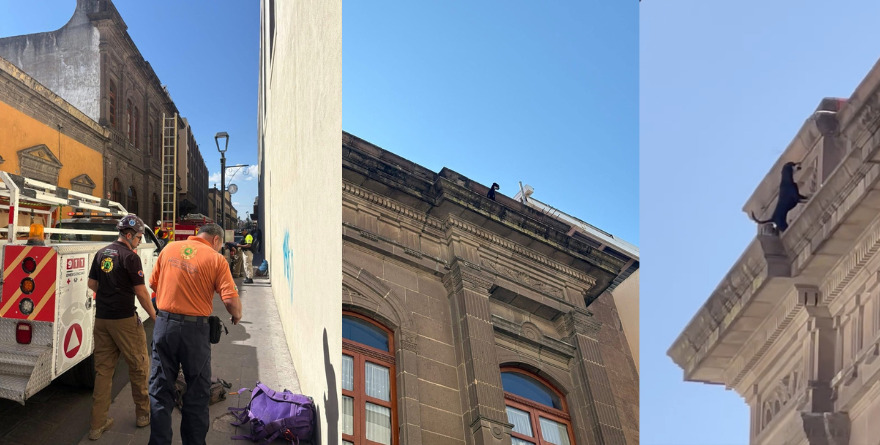 Rescatan a perrito en el Centro Histórico