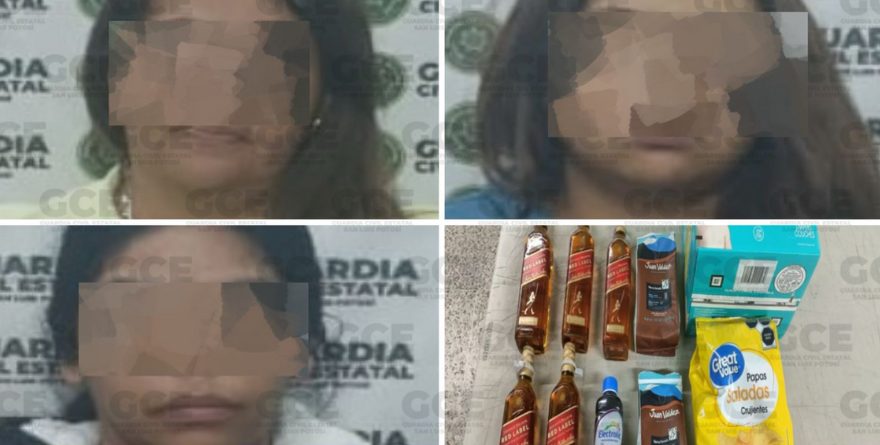 CAE BANDA DE ROBO HORMIGA EN SLP