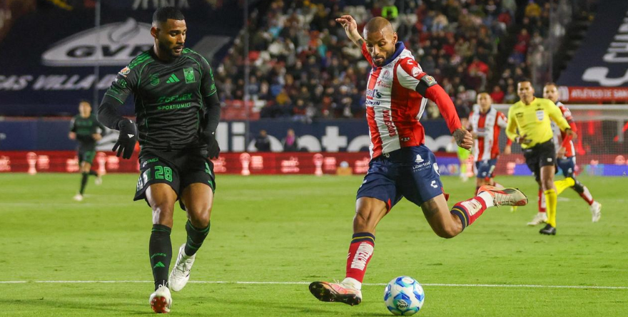 TIGRES DERROTA  A UN DÉBIL ADSL