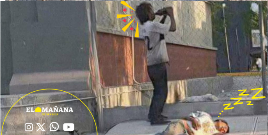 ¡Se quedó jetón y le adoptaron la cheve!