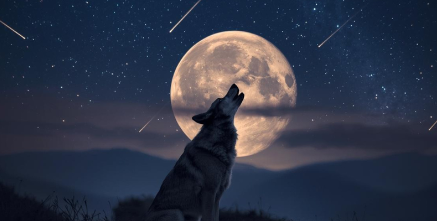 La Luna del Lobo ilumina el arranque del 2026