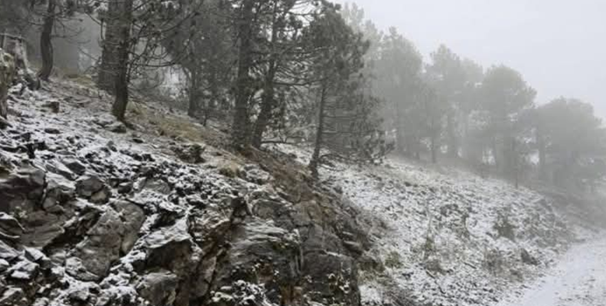 ALERTA POR TORMENTA INVERNAL
