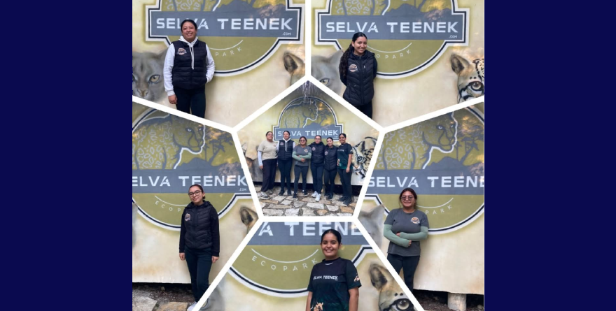 Reconocen labor de jóvenes huastecas
