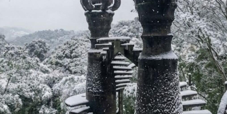 Serendipia surrealista