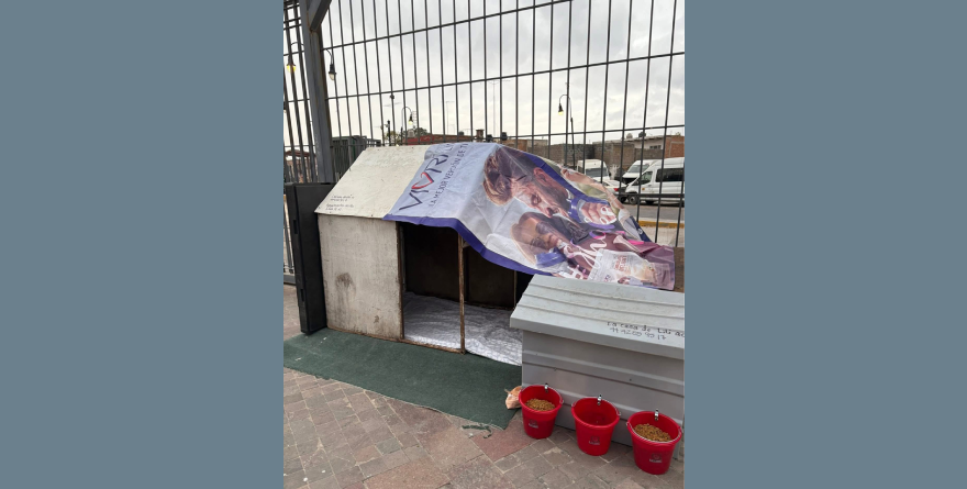 Retiran casas para perros