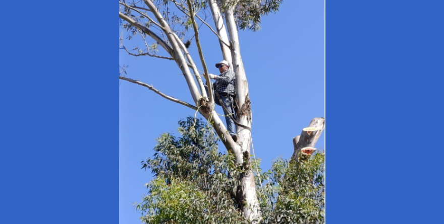 Mejoran condiciones en planteles