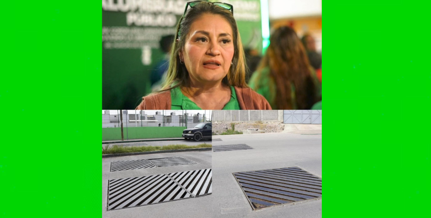 Colector pluvial transforma Cactus