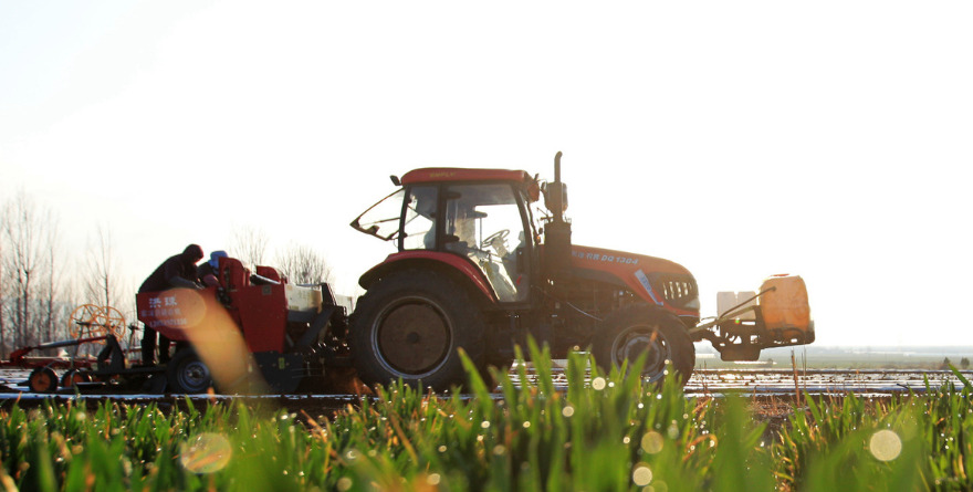 APOYA EU AL CAMPO CON 78 MMDD