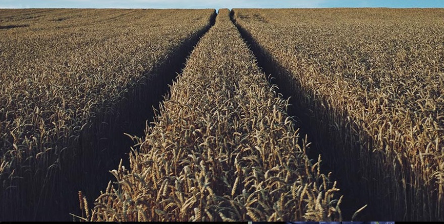 INYECTA TRUMP 78 MMDD AL CAMPO DE EU