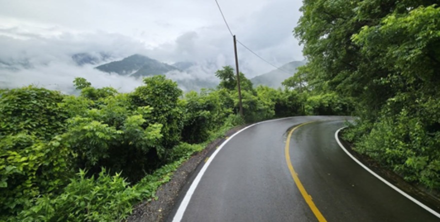 Caminos de niebla