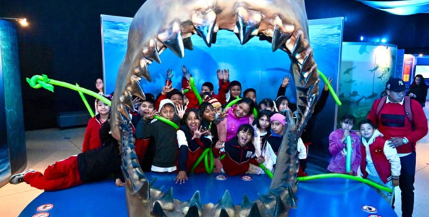 El Laberinto se llena de tiburones