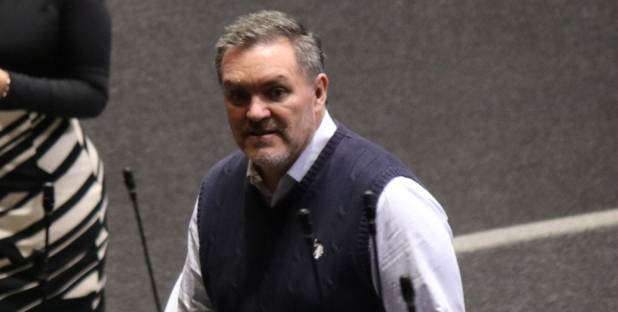 PIDE PAN AUDITAR ‘COCHINITO’