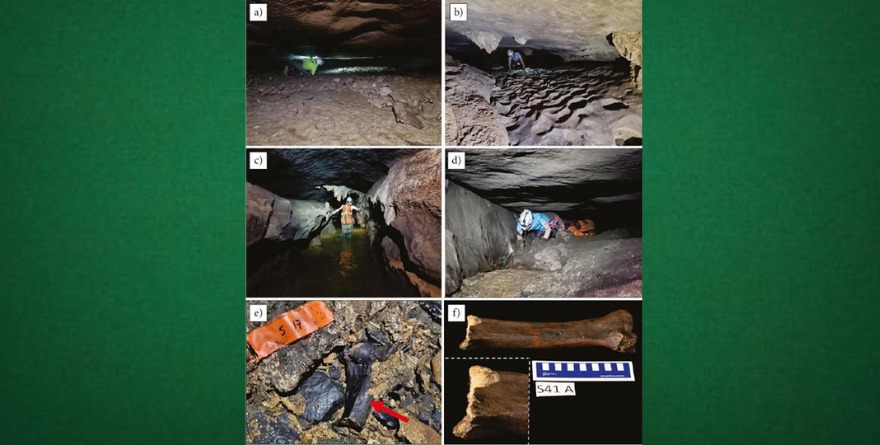 Impresionante descubrimiento en cueva fósil de la Huasteca