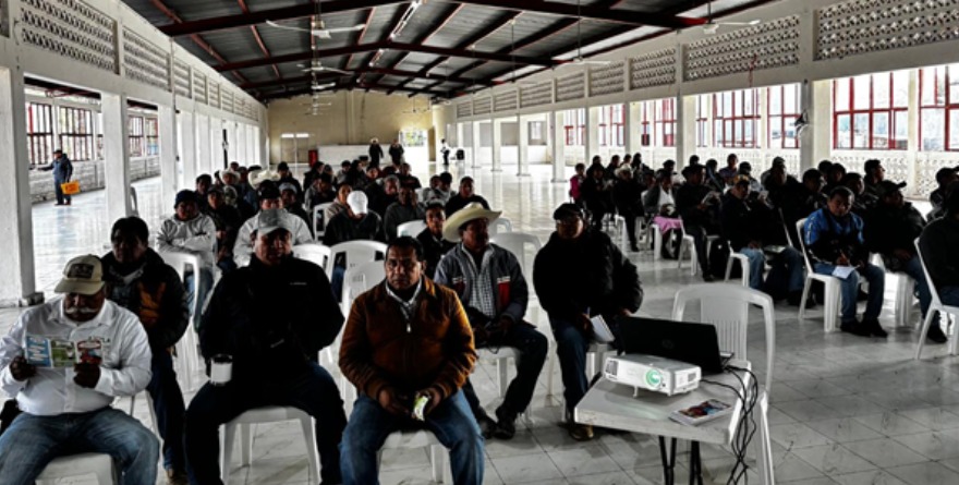 Refuerzan barrido sanitario contra tuberculosis bovina