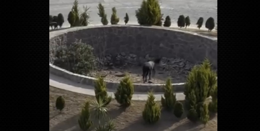 Cayó en la glorieta, pero no en el olvido