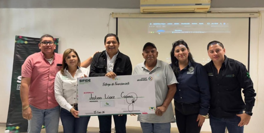 300 mil pesos para productores de Ébano