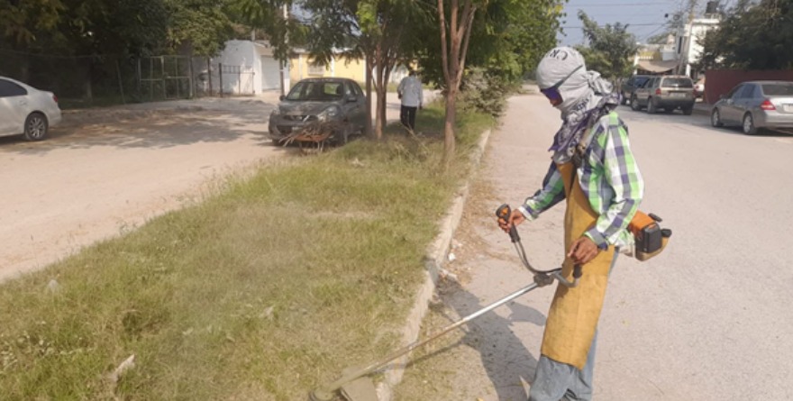 Mejoran la imagen urbana en Tamuín