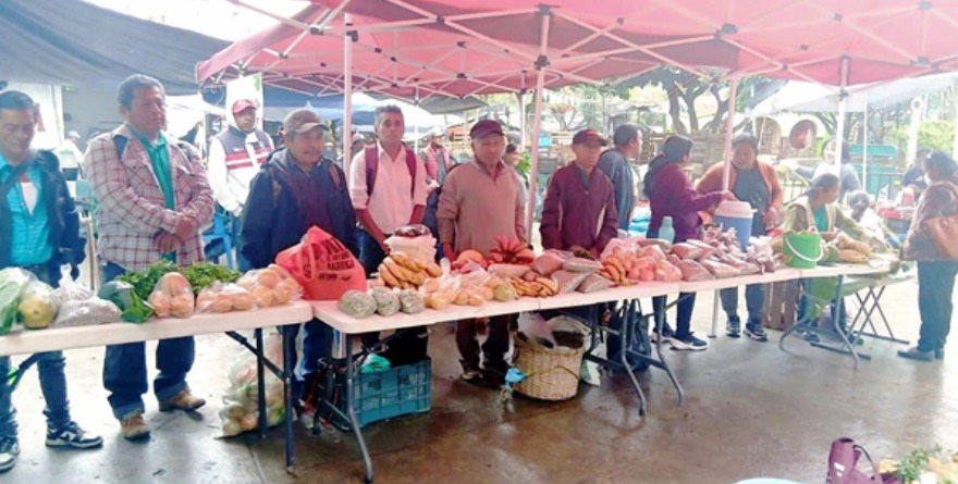 Impulsan consumo local sustentable