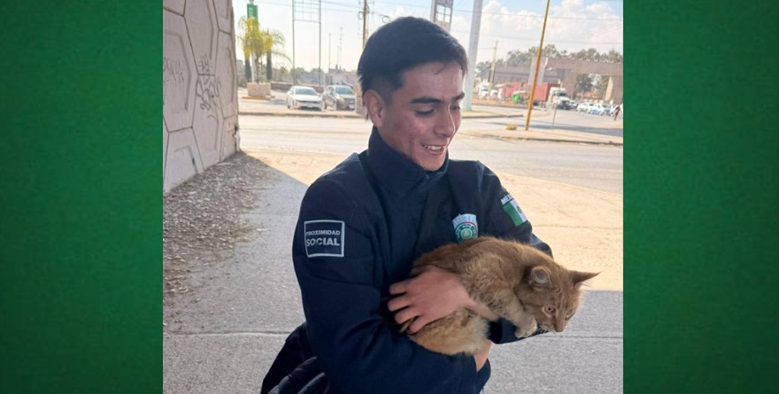 Rescatan felino en el puente vehicular
