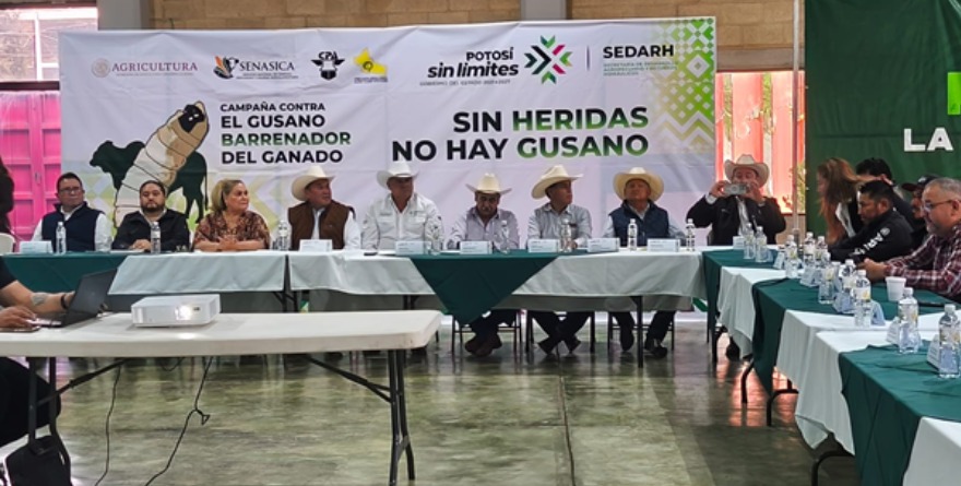 Fortalecen vigilancia contra el Barrenador